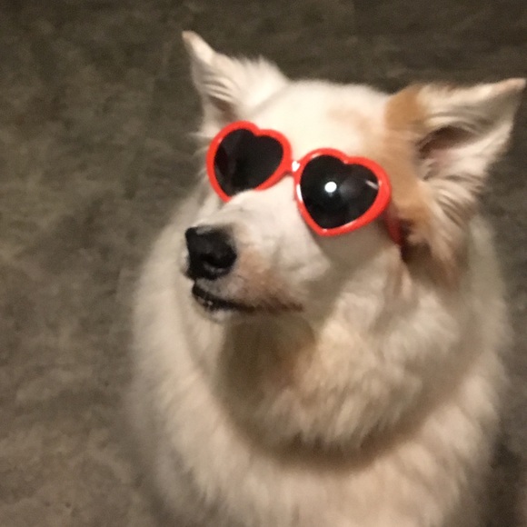 Nicole G - Picture 3 of 5